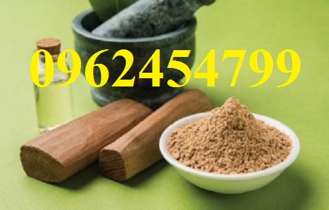 14 Chuyên cung cấp cây giống đàn hương, giống đàn hương đỏ, cây đàn hương trắng, đàn hương ấn độ chuẩn