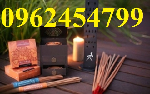 15 Chuyên cung cấp cây giống đàn hương, giống đàn hương đỏ, cây đàn hương trắng, đàn hương ấn độ chuẩn