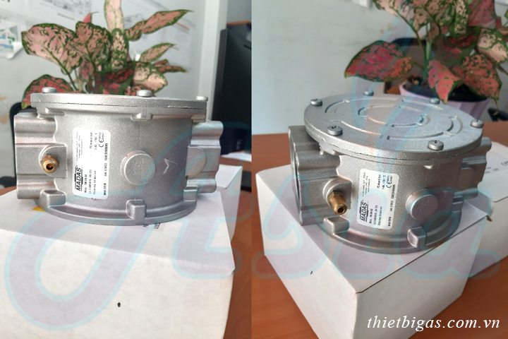 Lọc gas Madas Pmax 6 bar FM DN15 DN20 DN25 Lọc gas Madas Pmax 6 bar FM DN15 DN20 DN25