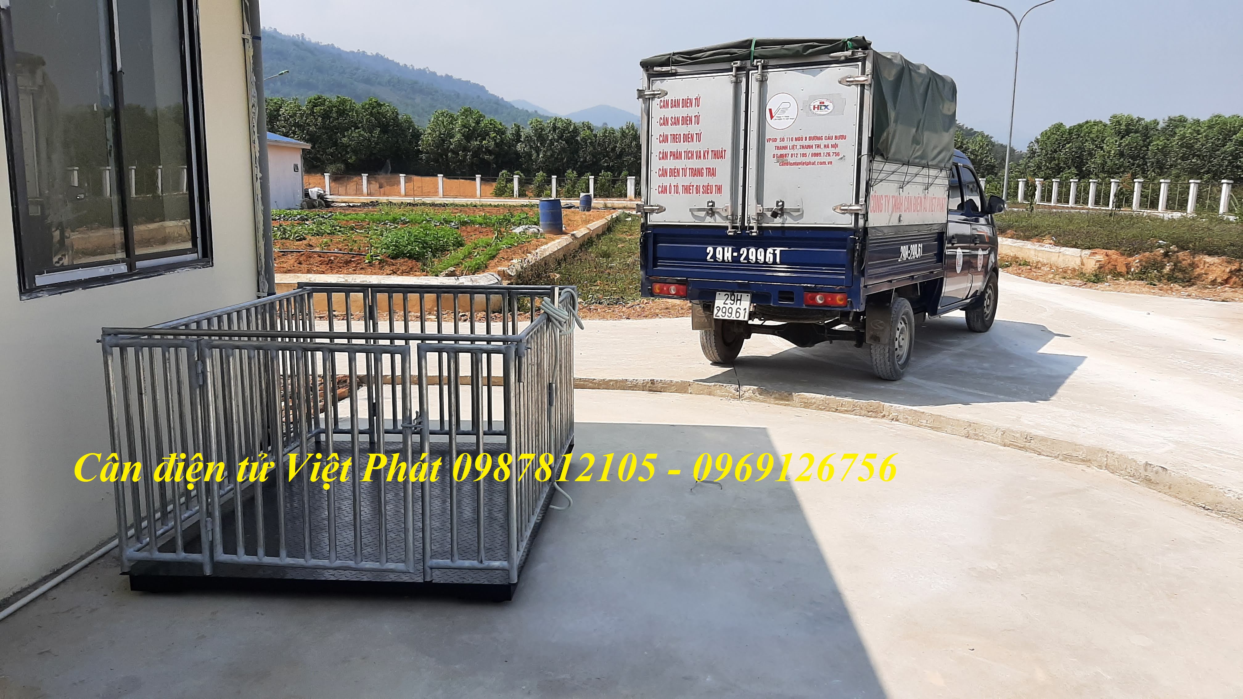 Lắp đặt cân động vật điện tử chuyên dụng  cân heo, cân bò, cân dê...cho các trang trại. Lắp đặt cân động vật điện tử chuyên dụng  cân heo, cân bò, cân dê...cho các trang trại.