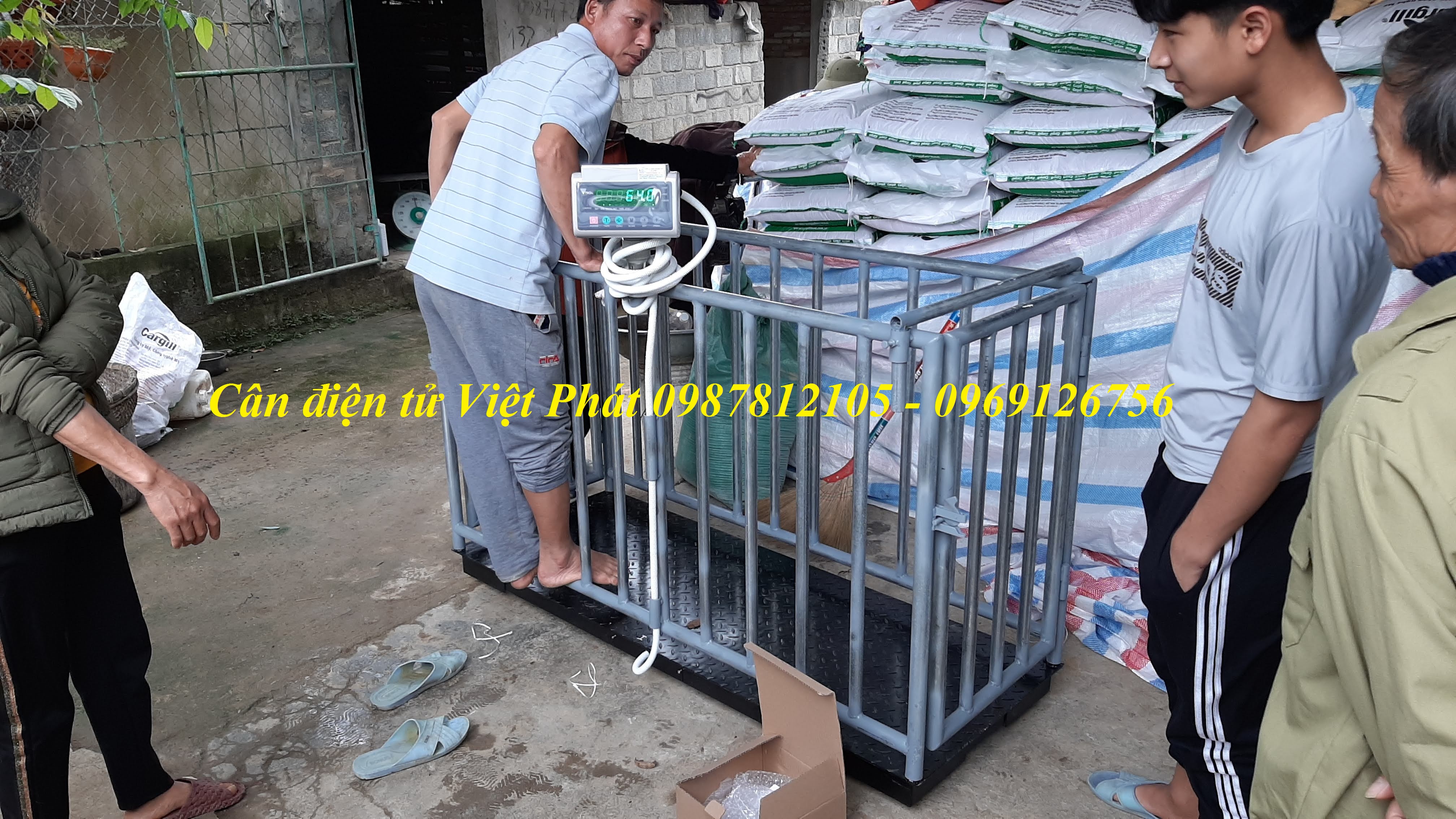 1 Lắp đặt cân động vật điện tử chuyên dụng  cân heo, cân bò, cân dê...cho các trang trại. 1 Lắp đặt cân động vật điện tử chuyên dụng  cân heo, cân bò, cân dê...cho các trang trại.