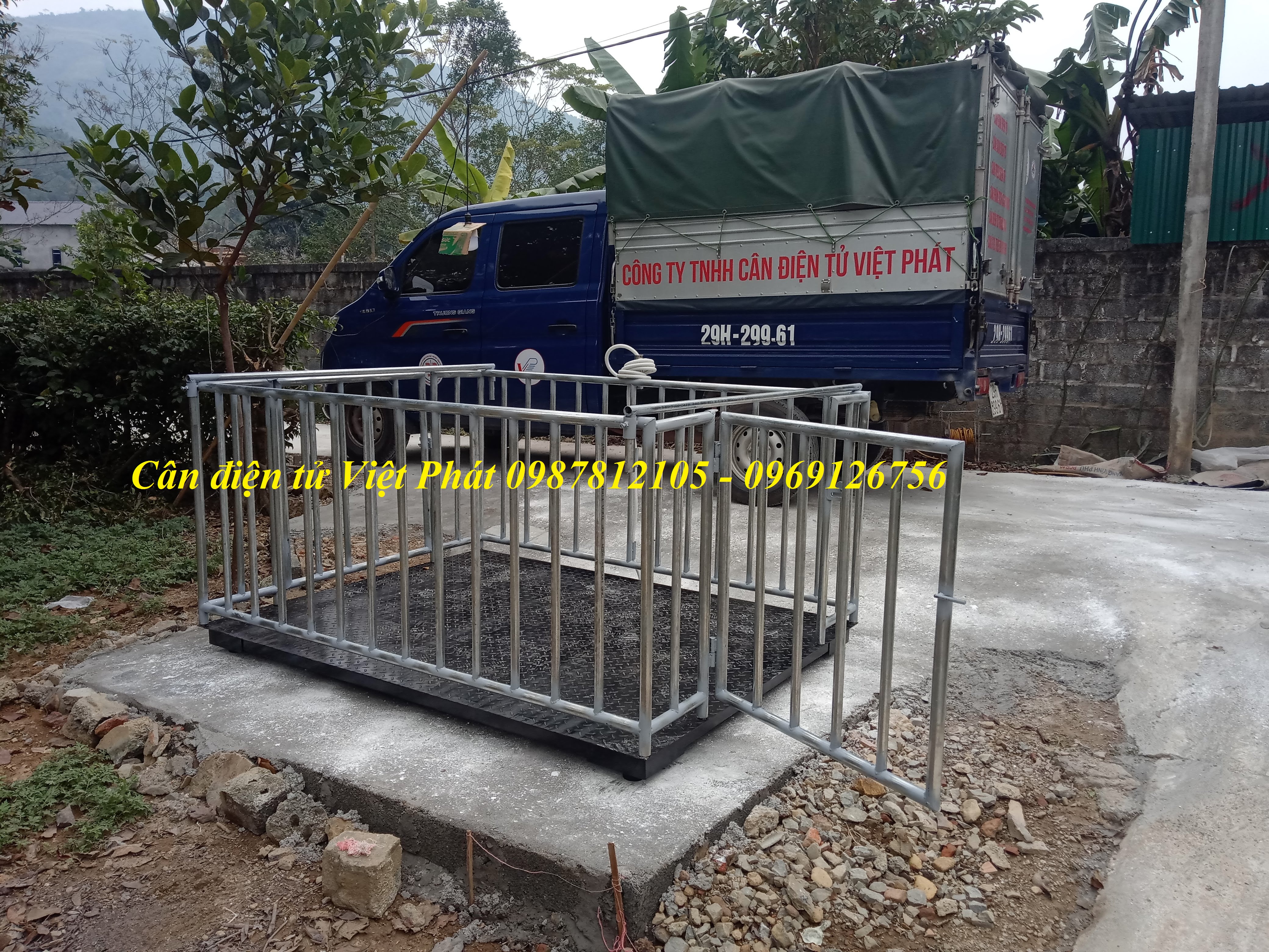 2 Lắp đặt cân động vật điện tử chuyên dụng  cân heo, cân bò, cân dê...cho các trang trại. 2 Lắp đặt cân động vật điện tử chuyên dụng  cân heo, cân bò, cân dê...cho các trang trại.