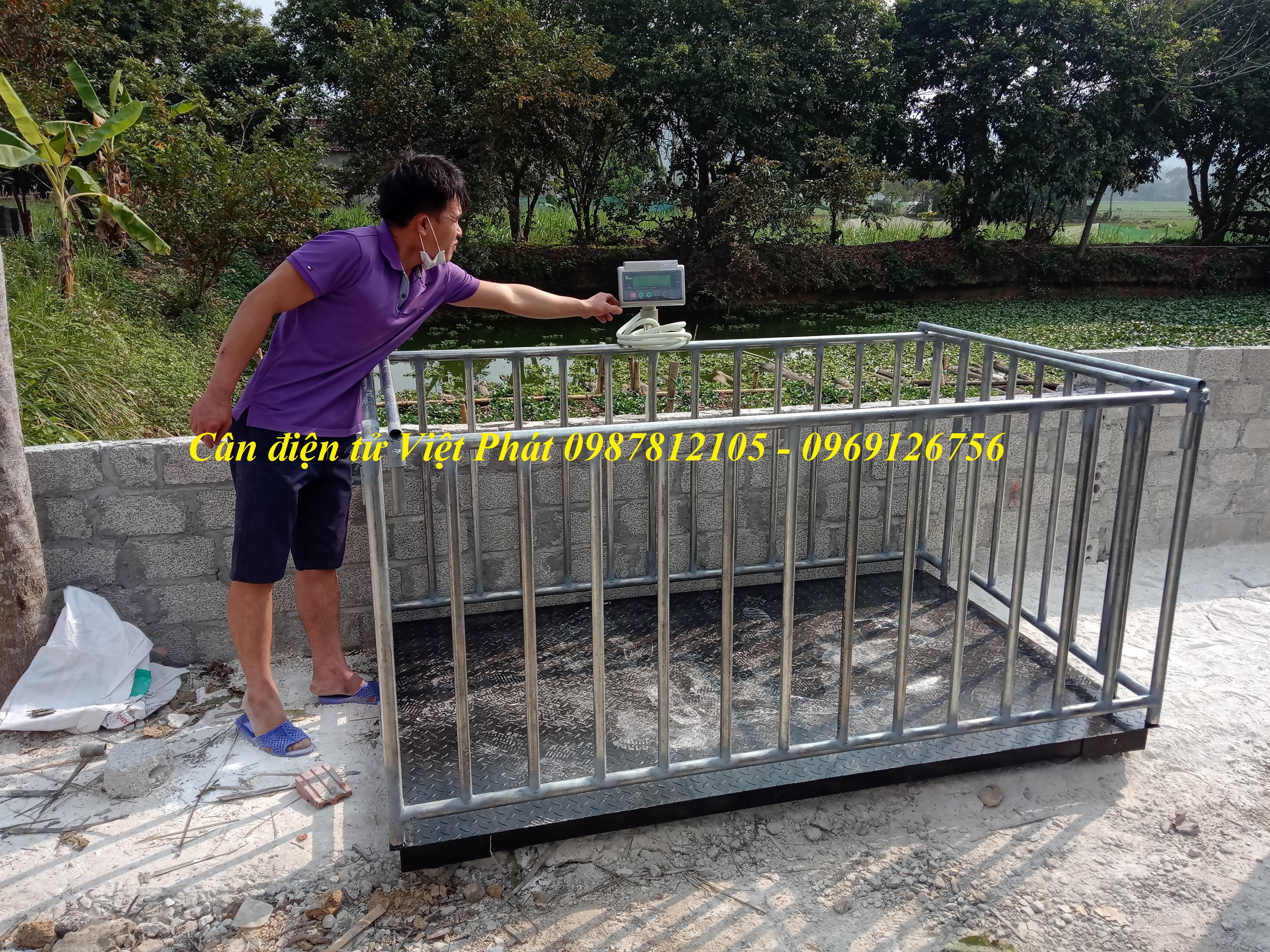 7 Lắp đặt cân động vật điện tử chuyên dụng  cân heo, cân bò, cân dê...cho các trang trại. 7 Lắp đặt cân động vật điện tử chuyên dụng  cân heo, cân bò, cân dê...cho các trang trại.