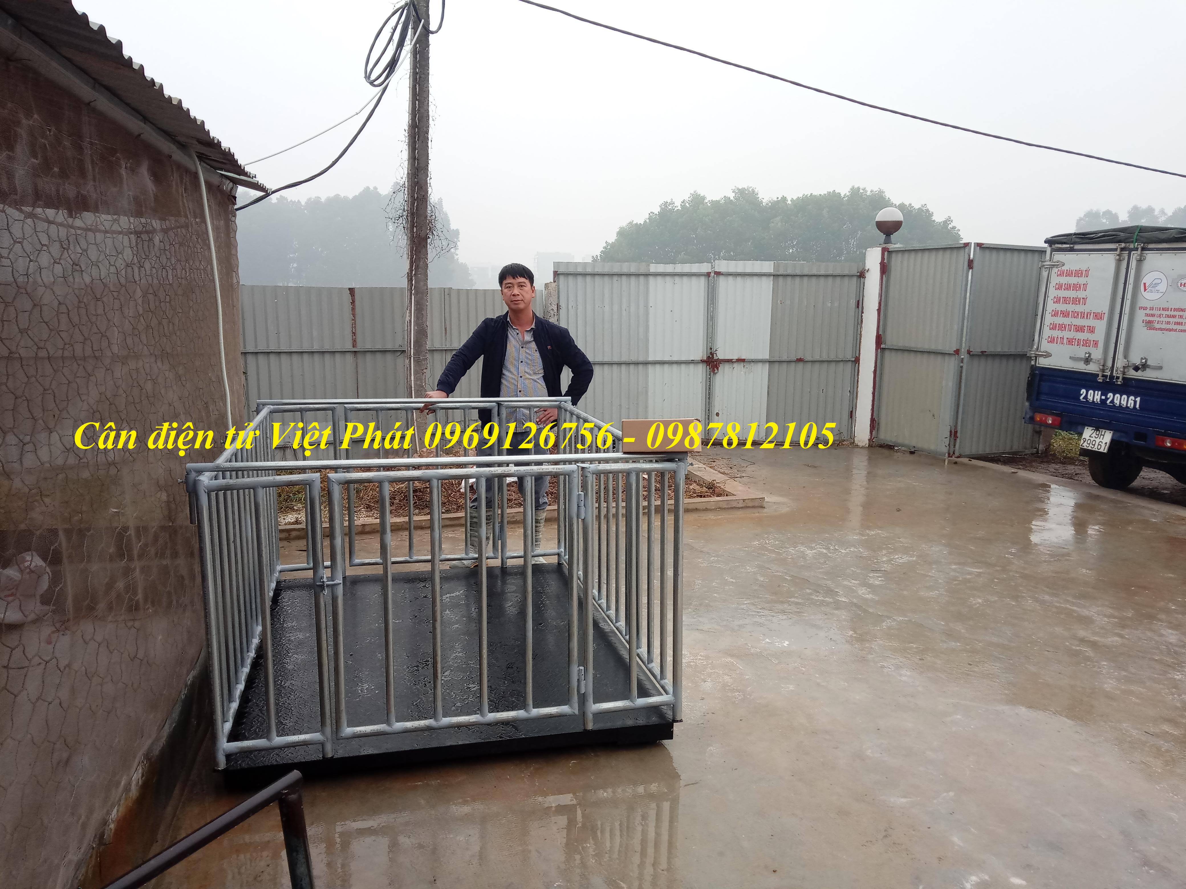 4 Lắp đặt cân động vật điện tử chuyên dụng  cân heo, cân bò, cân dê...cho các trang trại. 4 Lắp đặt cân động vật điện tử chuyên dụng  cân heo, cân bò, cân dê...cho các trang trại.