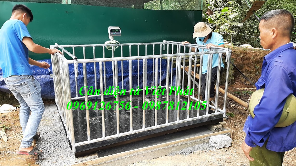 16 Cân điện tử giá rẻ, địa chỉ bán cân điện tử, mua cân điện tử ở đâu. 16 Cân điện tử giá rẻ, địa chỉ bán cân điện tử, mua cân điện tử ở đâu.