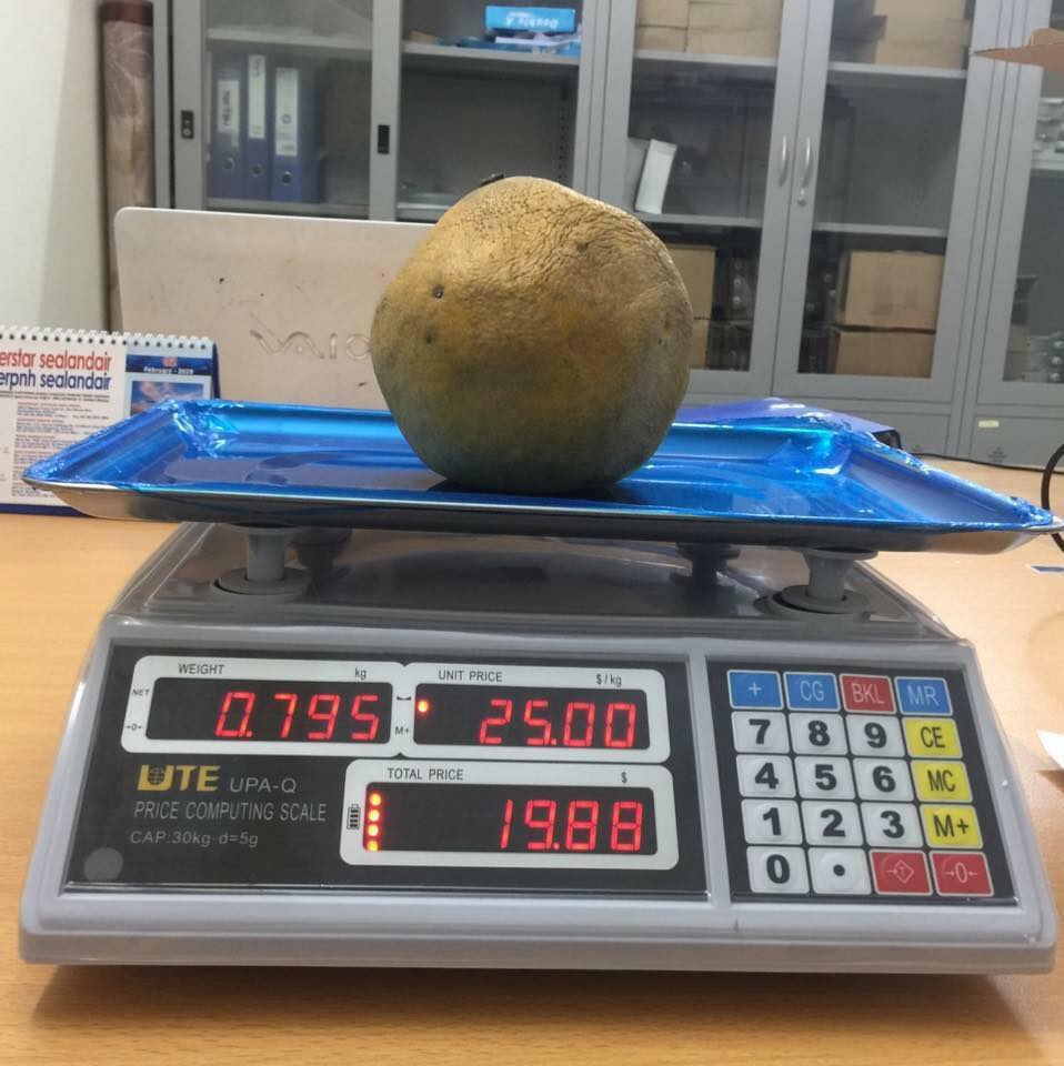 4 Cân điện tử giá rẻ, địa chỉ bán cân điện tử, mua cân điện tử ở đâu. 4 Cân điện tử giá rẻ, địa chỉ bán cân điện tử, mua cân điện tử ở đâu.