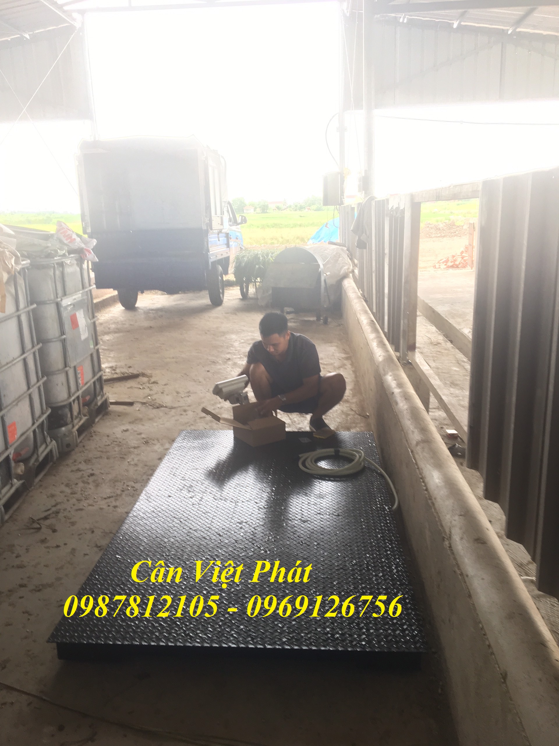 4 Cân điện tử Việt Phát , cân gia súc, cân động vật, cân trâu, cân bò 4 Cân điện tử Việt Phát , cân gia súc, cân động vật, cân trâu, cân bò