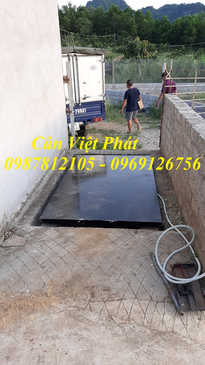 Cân điện tử Việt Phát , cân gia súc, cân động vật, cân trâu, cân bò Cân điện tử Việt Phát , cân gia súc, cân động vật, cân trâu, cân bò