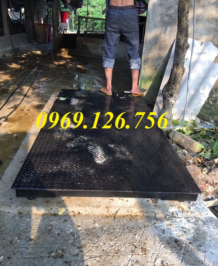 2 Cân điện tử Việt Phát , cân gia súc, cân động vật, cân trâu, cân bò 2 Cân điện tử Việt Phát , cân gia súc, cân động vật, cân trâu, cân bò