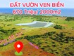 Cần bán 2000m2 đất cách biển 2.5km đang trồng Tràm keo sẵn 