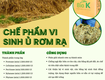 Chế phẩm vi sinh ủ rơm rạ Biok 