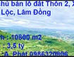 Chính chủ bán lô đất 1,08 ha Thôn 2, Xã Đại Lào, TP Bảo Lộc, Lâm Đồng 