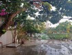 Bán nhà đất tiền Hải thái bình 