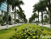 Chào bán lô đất đường 30.4, hải châu, dt 429m2, ngang 15m, giá 67 tỷ tlcc