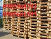 Bán thanh lý pallet nhựa, palel gỗ giá rẻ tại Đà Nẵng 