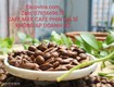 Cà phê pha máy Biên Hòa Đồng Nai, Sản phẩm loại 1 của Escovina Coffee chỉ với giá...