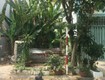 đất 5x20m 10x20m khu dân cư kim sơn phường tân phong quận 7.