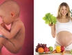 Xây dựng chế độ dinh dưỡng cho thai nhi 15 tuần tuổi đủ chất cho bé phát triển...