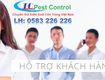 Dịch vụ diệt mối tại Hà Nội 