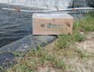 Chế phẩm men vi sinh cắt tảo độc Biopro Khánh Hòa cho ao tôm cá 