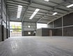 Kho 230M2 ĐƯỜNG LÊ TRỌNG TẤN cần cho thuê GIÁ ƯU ĐÃI cho tháng 3