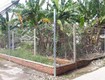 Cho thuê đất vườn đường 40 Hiệp Bình Chánh, Thủ Đức. DT: 9 x 16.4 m, 3 triệu/...