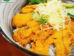 Gạch Nhum Biển Nhập Khẩu Chuẩn Sashimi 
