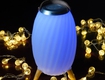 Loa Đèn Di Động Soundmax AL22 