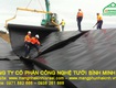 Màng chống thấm HDPE, bạt lót hồ, bạt HDPE nuôi tôm cá,bạt lót hồ Bình Minh, bạt trải...