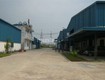 Cho thuê kho xưởng diện tích từ 550m2 đến 1000m2 tại thị trấn Thường Tín 