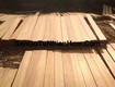 Cung Cấp Gỗ Teak Gỗ Gíá Tỵ 