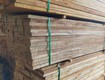 Gỗ Teak Gỗ Gía Tỵ Nguyên Liệu Xẻ Sấy 