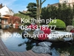 Thiết kế hồ Koi đẹp thơ công hồ Koi  đn 
