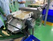 Máy dò kim loại hạt nông sản chưa đóng gói