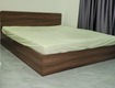 Giường ngủ gỗ chống ẩm cao cấp, bao nhảy, bh 3 năm 