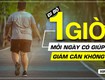 Đi Bộ Có Giảm Cân Không 