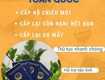 Hộ chiếu online cho người bận rộn 