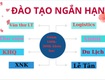 Thông báo mở lớp Thông tin thư viện tại Quảng Nam 