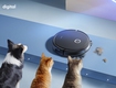 Đánh giá tổng quan mua robot hút bụi Ecovacs Deebot U2 Pro 