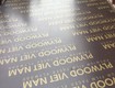 Ván ép phủ phim tại Hà Nội 