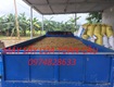 Bán máy sấy lúa hiện đại từ 5 tạ đến 1 tấn,2 tấn 