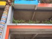 Cần bán căn shophouse nằm trong quần thể dự án flamingo hải tiến căn b5 17...