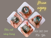 Đầu nối răng trong bắt với ống ruột gà giá rẻ 