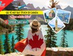 Đi Canada xuất phát từ Thành Phố Hồ Chí Minh giá vé bao nhiêu 