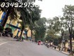 Bán mảnh đất phố hoàng hoa thám, 320m2, ô tô tránh, phù hợp phân lô hay xây tòa...