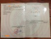 Trình làng lô đất chia 2 lô không mất ngõ thuỷ xuân tiên chương...