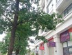 Cho thuê 2 căn b07,b08 khu biệt thự liền kề 622 minh khai thông sang...