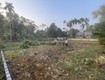 Chính chủ cần bán lô đất ở quang trung thị trấn ngọc lặc tỉnh...