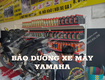 Combo bảo dưỡng xe máy yamaha chuyên nghiệp tại nguyễn decal 