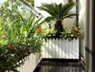 Trang trí ban công, sân vườn với chậu hàng rào gỗ nhựa composite trắng 